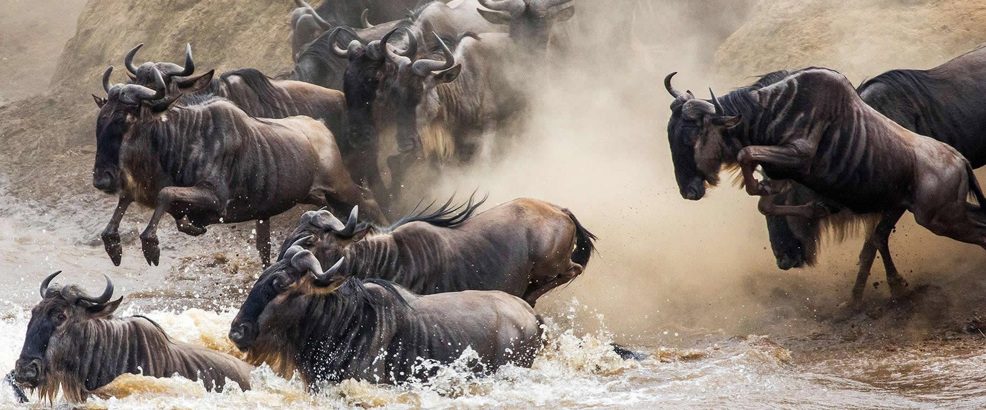 7 Days Wildebeest Migration Safari