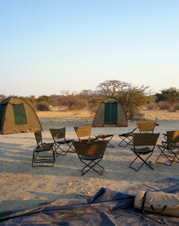 Africa Safari Camp