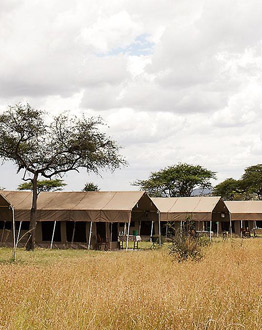 Serengeti Kati Kati camps