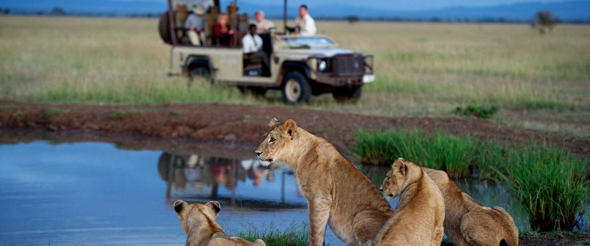 Plan Your Safari